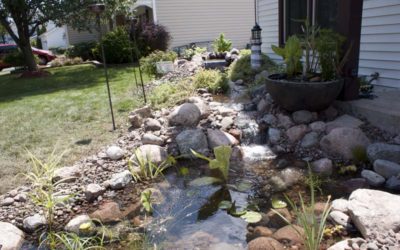 Pondless to Pond