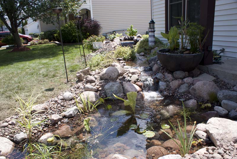 Pondless to Pond