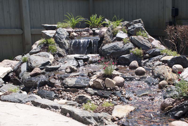 Pond to Pondless