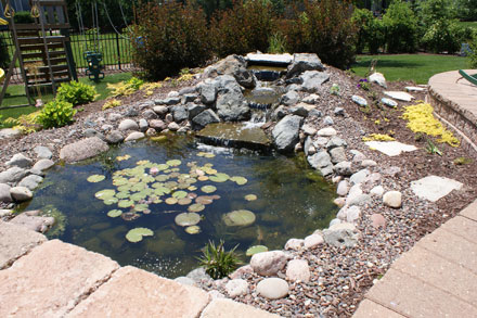 Pond Rejuvenation