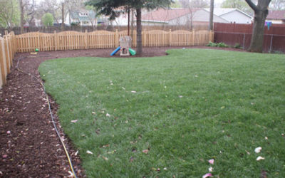 New Backyard Sod & Mulch