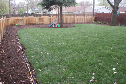 New Backyard Sod & Mulch