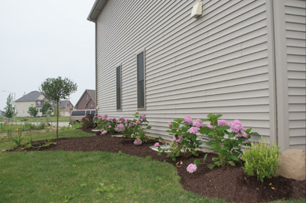 Side of House Landscaping